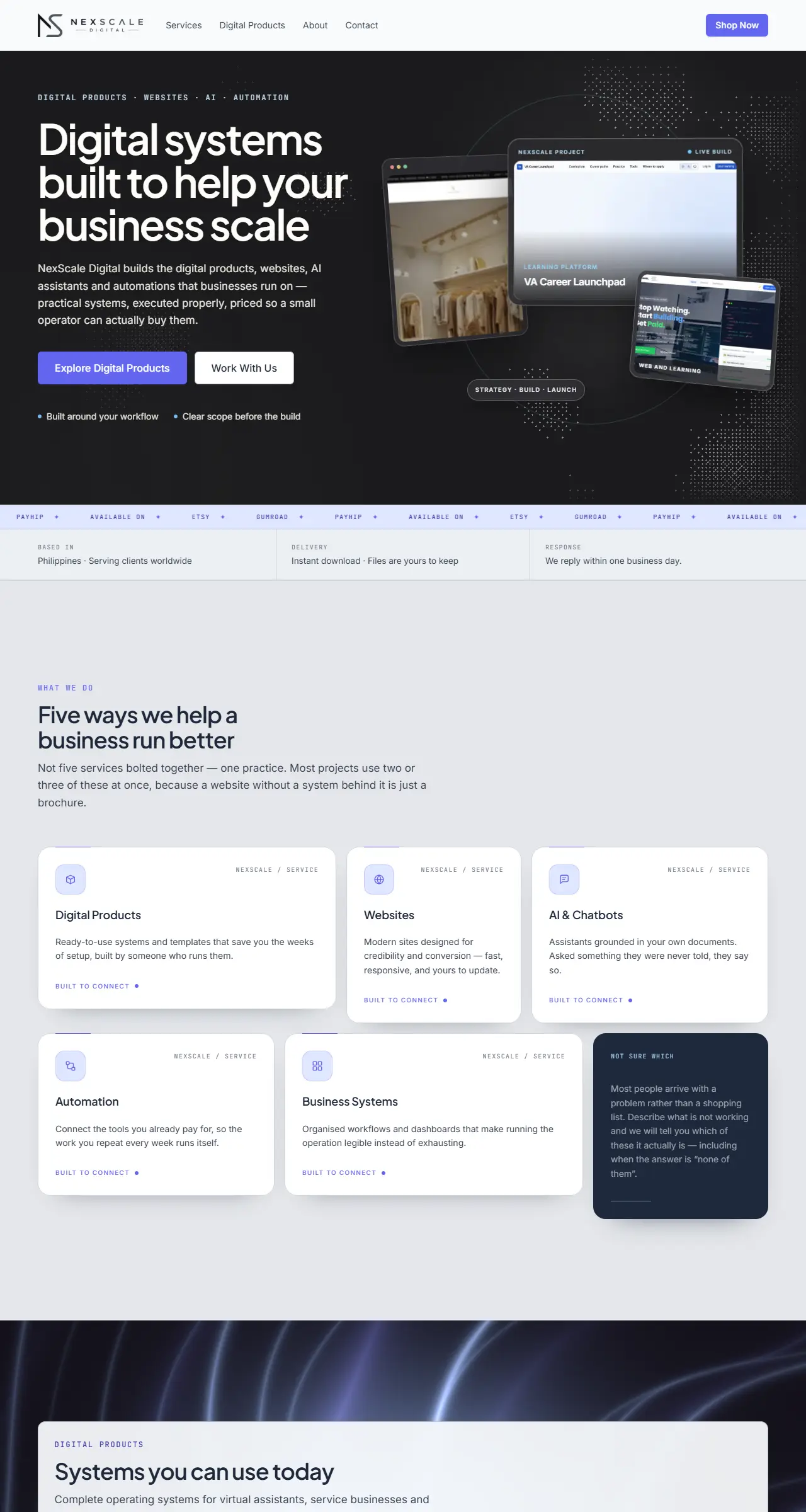 NexScale Digital homepage